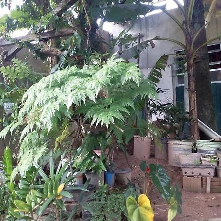 El Caleuche Hostel Rio das Ostras Exterior photo